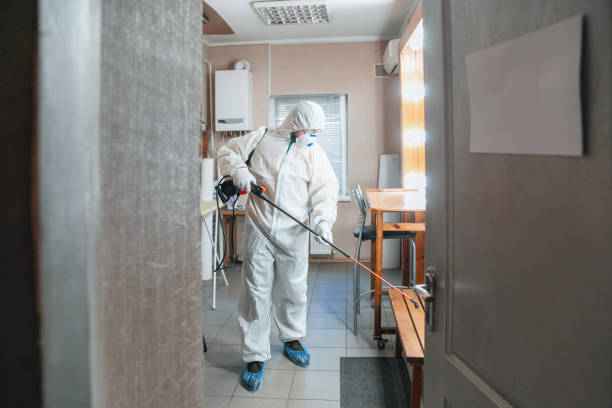 Best Residential Mold Inspection & Testing  in Wright, FL