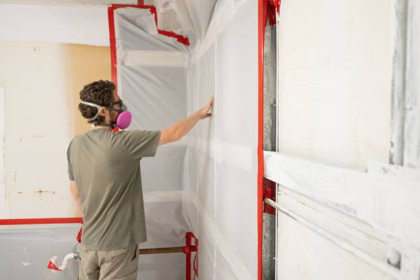 Best Mold Remediation for Healthcare Facilities  in Wright, FL