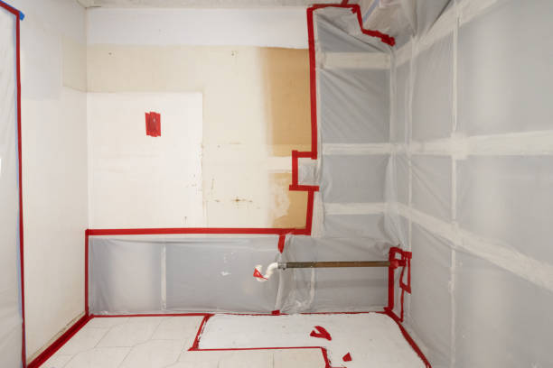Environmental Consulting for Mold Prevention in Wright, FL