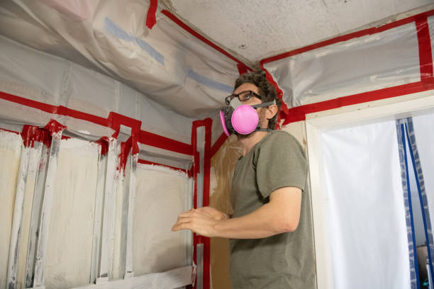 Forensic Mold Investigation in Wright, FL