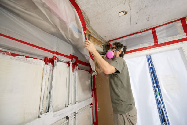 Best Environmental Consulting for Mold Prevention  in Wright, FL