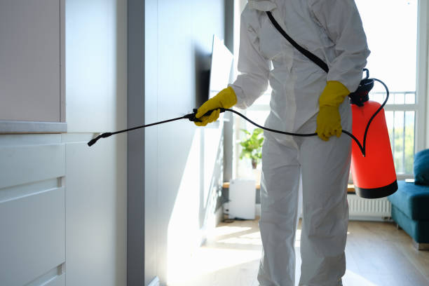 Best Dehumidification Services  in Wright, FL
